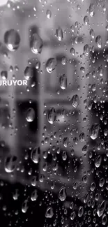 Black and white rain droplets on a window with a blurred background.