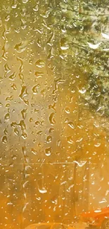 Orange-tinted window with raindrops showcasing lush greenery and a car.