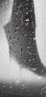 Silhouette behind a rain-soaked window wallpaper.