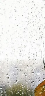 Raindrops on a window with an autumn leaf in the corner.