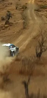 High-speed rally car racing on a dusty desert trail.