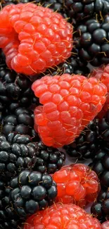 Mobile wallpaper with raspberries and blackberries.