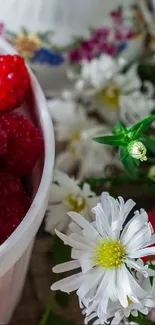 Juicy raspberries beside white daisies in a vibrant garden scene.