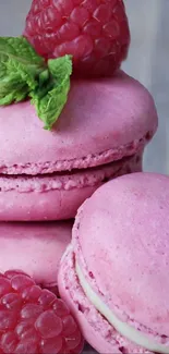 Pink macarons and raspberries with vibrant colors.