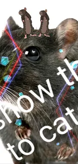 Rat with vibrant text and graphic overlay on wallpaper.