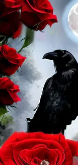 Raven and red roses by moonlight wallpaper.