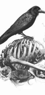 Black raven on skeleton with flowers in grayscale.