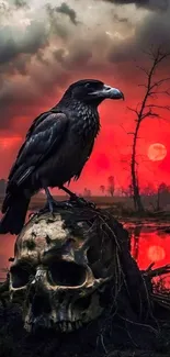 Raven perched on skull with red sunset sky.