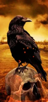 Raven perched on a skull with a fiery orange sky background.