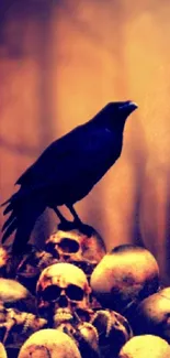 Raven perched on skulls with a warm sepia background.