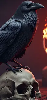 Raven perched on skull with fiery backdrop mobile wallpaper.