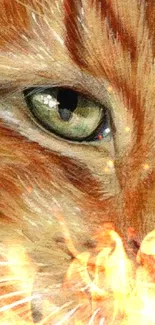 Detailed orange cat artwork wallpaper for mobile phones.