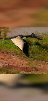 Realistic dinosaur flying over lush landscape with greenery.