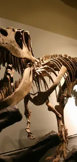 T-Rex skeleton displayed in a museum setting with shadowy lighting.