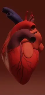 Realistic 3D digital heart on red background.