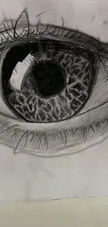 Realistic pencil sketch of a human eye, detailed and monochrome.