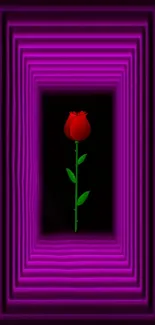 Vibrant red rose with neon purple glow.