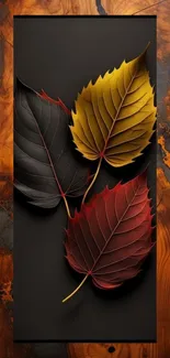 Elegant autumn leaves with dark background.