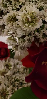 Red and white flowers with green leaves, perfect for mobile wallpaper.