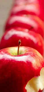 Close-up of a fresh red apple with a bite taken out, lined up in a row.
