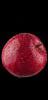 Red apple with water droplets on black background wallpaper.