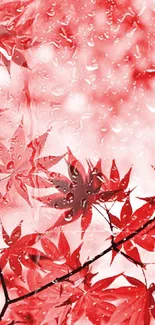 Mobile wallpaper featuring red autumn leaves with a nature theme.