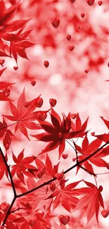 Red leaves create a vibrant autumn wallpaper.