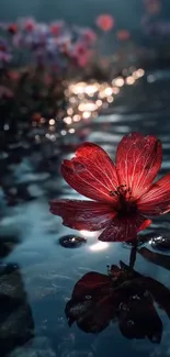 Red flower on reflective water at twilight.