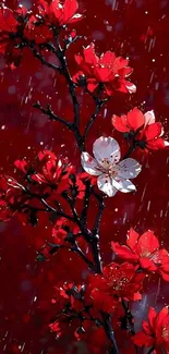 Red blossoms in rain with a vivid background.