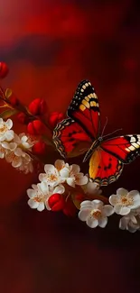 Red butterfly and white flowers on a deep red background wallpaper.