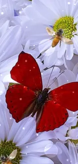 Red butterfly on white daisies with a delicate, nature-inspired theme.