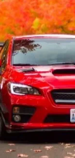 Red car against autumn foliage backdrop.