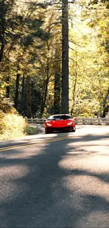 Red sports car driving on a forest road.