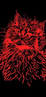 Red line art cat design on a black background wallpaper.