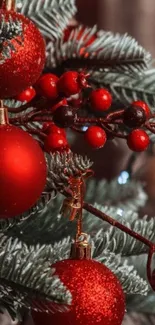 Red ornaments and berries on a Christmas tree branch.