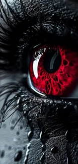 Close-up of a dramatic red eye with intense detail.