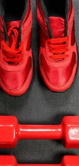 Red sneakers and dumbbells on a dark background.