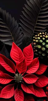 Red poinsettia with dark leaves mobile wallpaper.