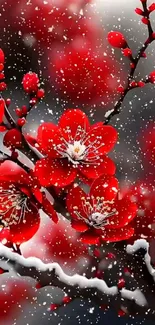 Red flowers with snow on branches.