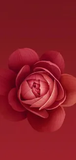 Elegant red flower wallpaper with detailed petals for a vibrant phone background.