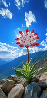 Red flower blooming under a vivid blue sky in a mountain landscape.