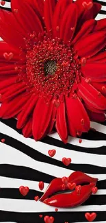 Red flower and lips on zebra stripes background for mobile wallpaper.