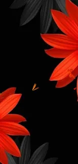 Red flowers on a black background wallpaper.