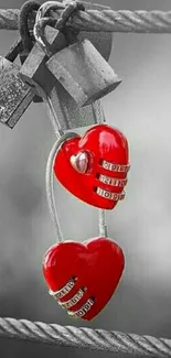 Red heart-shaped locks on a wire, symbolizing love and security.