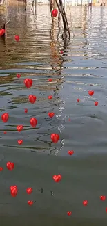 Red hearts floating on reflective water surface.