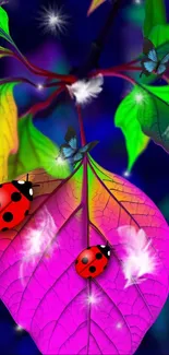 Red Insect Arthropod Live Wallpaper