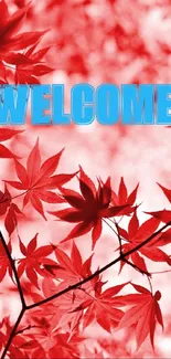 Red maple leaf wallpaper with 'Welcome' text in blue.