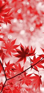 Vibrant mobile wallpaper of red maple leaves against a blurred background.