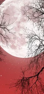 Red moonlit night with tree silhouettes and a glowing moon.