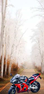 Red motorcycle on a frosty tree-lined autumn road, perfect mobile wallpaper.